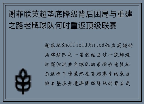 谢菲联英超垫底降级背后困局与重建之路老牌球队何时重返顶级联赛 谢菲联英超垫底降级背后困局与重建之路老牌球队何时重返顶级联赛